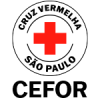CEFOR LOGO